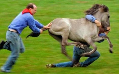 At hrszlnn cezas idam.