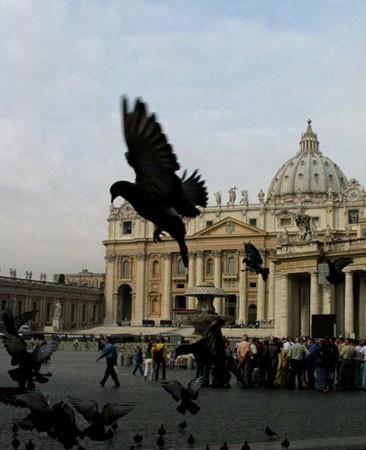 talya?da gvercin beslemek yasak. Uygulamann skl, ehirden ehire deiiyor. Ancak, bu kanunun en kat olduu yer Venedik. Gvercinlerin tarihi yaplara pislemesinden bkan yetkililerin, gvercin besleme "suu" iin bitikleri bedel 50-600 dolar (yaklak 80-966 TL aras) arasnda deiiyor.