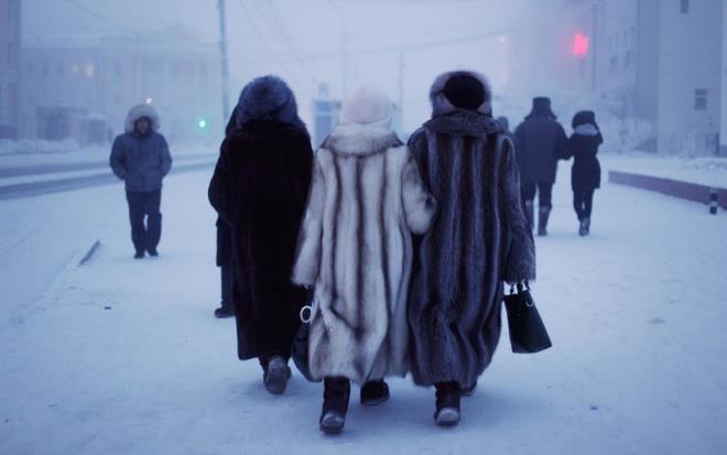 5- ehir sakinlerinin 'dost canls ve ok k' olduunu sylyor.