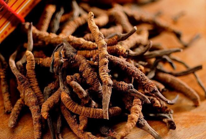 rnein 1800'lerde Amerikan havyar sektr hzla byrken sonrasnda yok olmutu. Bugn iin insanlar trtldan yksek gelir edinmeye devam ediyor. (BBC Trke)