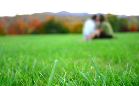 zmn tanesini, karpuzun sap ksmndaki kabuunun iini yiyenler yetim kalr. Ekin ekili tarlada ienmez, cinsel ilikide bulunulmaz. ocuun bezleri yabani aaca aslrsa ocuk yabani olur.