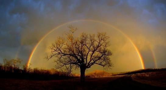 Gkkuann altnda bir erkek geerse kz, kz geerse erkek olur. Dolu ilk yadnda birka tane yemek sal iyi gelir. Be ta oynamak kurakla iarettir. imek aktnda yere bak saplanr.