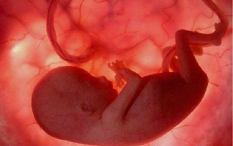 Cuma gn ana rahmine den ocuk bilgili olur.