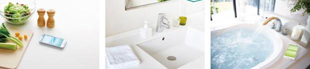 Cihaz Mart aynda sadece Japonya'da piyasaya srlecek.