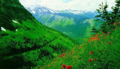 2084- Doann yeniden douu