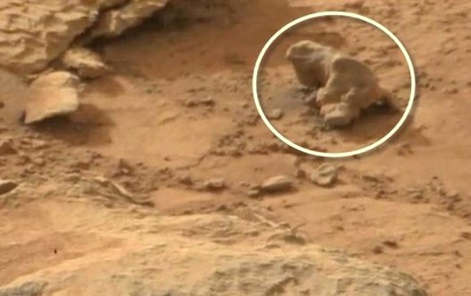 Curiosity'nin ektii fotoraflardan birine yakndan bakldnda daha ok tropikal iklimde yaamn srdren iguana benzeri bir cisim dikkat ekiyor.