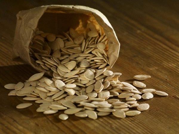 Mkemmel bir kurt ilacdr. Gnde ocuklarda 10-15 adet,byklerde 20-30 adet kabak ekirdei yenmelidir.Tenya solucanlarn gidermek iin de kabak ekirdei iyi bir ilatr.