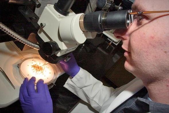 Nkleer la Uzman  -Yllk kazanc 70 bin 400 dolar