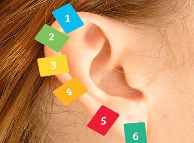 Muhtemelen akupunkturun nasl yapldn ve vcudunuza nasl iyi geldiini biliyorsunuzdur. Peki vcudunuzdaki arlar kulanza yapacaklarnz ile geirebileceinizi biliyor muydunuz?<p>    Yntemin ie yaramasndaki asl neden kulaklardan geen sinirlerin vcudun sinir merkezine kadar gitmesi.  <p>  Kulanzdaki alt farkl nokta ile vcudunuzun eitli blgelerindeki arlar geirmek mmkn. Tek yapmanz gereken nce arnzn nerede olduunu tespit etmek ve daha sonra kulaktaki belirli noktaya bask uygulamak.