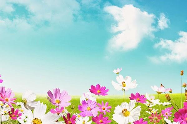 Cemrenin dmesiyle havann souu krlr ve doa uyanmaya balar. Baharn geliini haber veren cemre, ilk olarak havaya der. Bu yl cemre havaya 19-20 ubat tarihlerinde decek. Bu tarihten itibaren hava scakl ykselmeye balayacak. K sou