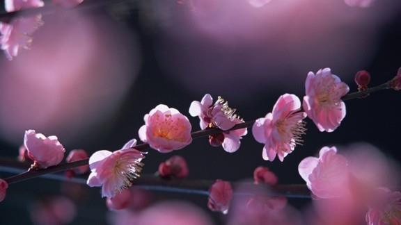 Cemre nedir : Cemre kelime manas olarak kor anlamna gelir. Arapa olan bu kelime kor durumundaki ate manasndadr. Mina Vadisi'nde Arafat'tan gelen haclarn attklar talarla oluan ynlara da "cemre" ad verilir. Cemre, lkbahar balangcnda yedier gn arayla der. Havayla balayp, suyla devam eder ve son olarak da topraa der.