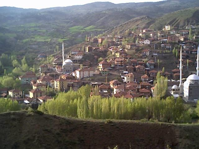 ANKIRI    FB: %31 / GS: %20 / BJK: %15