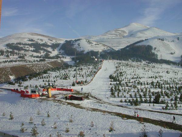 ERZURUM    GS: %40 / FB: %33 / BJK: %16