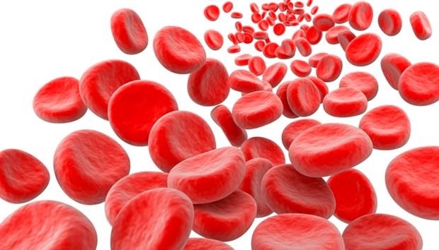 Kanszla iyi geliyor: Ayvadaki yksek demir ierii sayesinde kan hcrelerinin retimi artyor. Anemi problemi yayorsanz ayva demir tketimini arttrmak adna iyi bir alternatif olabiliyor.