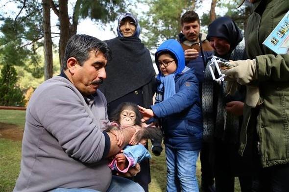 Bakclarmzn elinde byd. Bakclarmz birebir ilgilendi, st, yemek verdiler. Adeta annelik grevini grdler. zel mamalar, stlerle beslediler. Bunun yannda zel vitaminler ve mamalar da verdik.