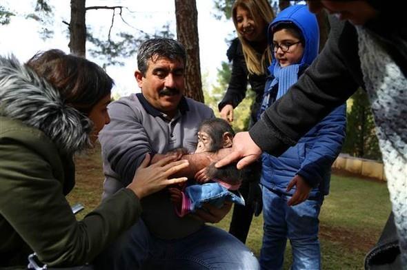 Angel'n ilk annelii olduu iin yavrusuna bakmadn kaydeden Celal zsyler, yle konutu: