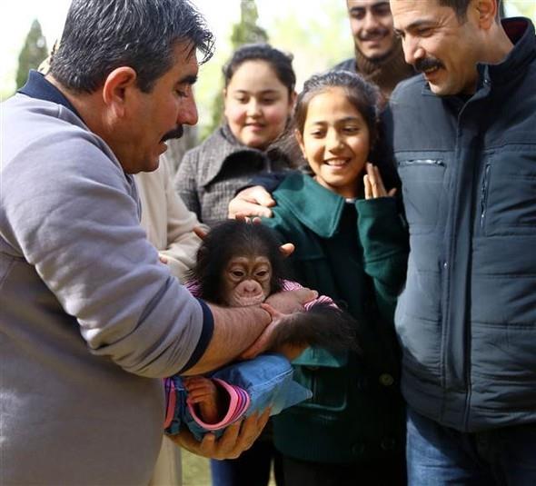 Bakcs adeta 'anne' grevinde bulunuyor. Onunla kucaklayor. Onunla beraber dolayorlar. Bizler hayvanat bahesinde zellikle hayvan sevgisi olan kiilerle almak istiyoruz. Hayvan sevgisi olmayanlar buraya almyoruz.