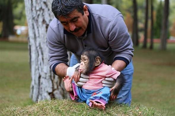 Aslan, 15 yldan bu yana hayvanat bahesinde grev yaptn belirtti.