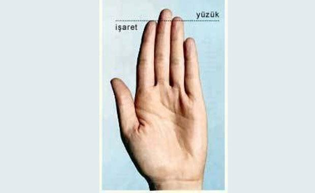 Yzk parma, iaret parmandan uzun olan bir insan;