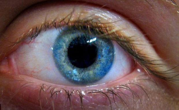 Gzlerin arkasndaki kk damarlar ise, beyin sal hakknda ipucu veriyor. Bir aratrmaya gre, gz damarlar daha geni olan orta yal insanlar, zeka testlerinde dk puan ald.