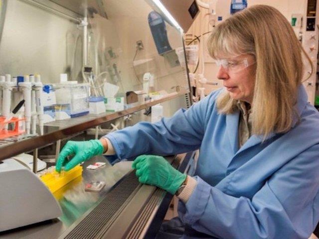 2: Jill Hruby<p>    alt irket: Sandia