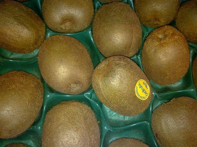 Karadeniz, gnlk en az bir adet kivi tketilmesini tavsiye ederek, &#8220;1 adet kivi 1 kilogram portakala denk. Dolaysyla tketilecek bir adet kivi gnlk C vitaminimizi rahatlkla karlamaktadr.