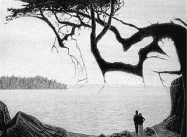 Bu izimin iinde gizli olan bebek resmini bulabilecek misiniz?