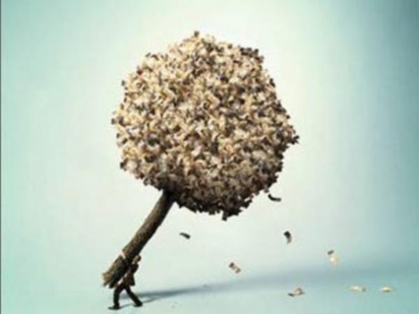 Byk ikramiyeyi kazanmak istemiyorum nemli olan aln teri...