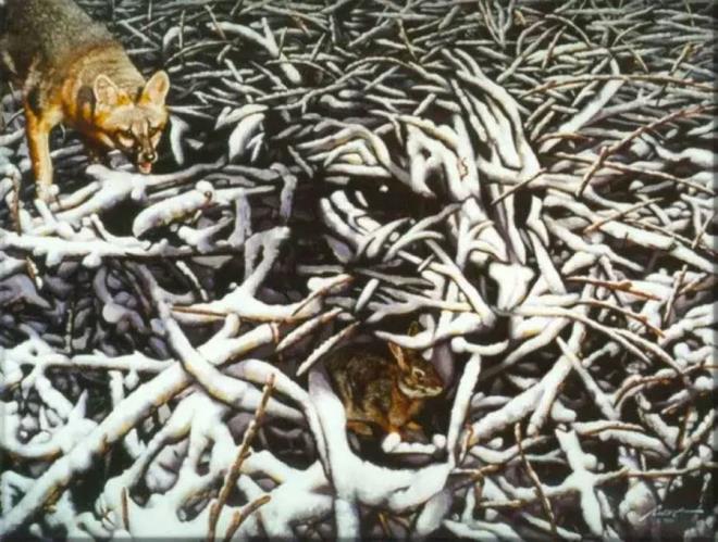 nternet aleminde trl trl 'Fotoraftaki ...'y bulabilir misiniz?' sorularyla karlayoruz. Bazen bulamaynca ldrabiliyoruz haliyle. te fotoraflara bir yenisi eklendi. Bulabilen sadece 2 tane hayvan bulabiliyor. Peki siz bulabilecek misiniz? Soru ise ok basit; &#8216;Aadaki resimdeki 3 hayvan 5 saniye iinde grebiliyor musunuz?&#8217;. ou insan sadece 2 tanesini grebiliyor tekrardan syleyelim.