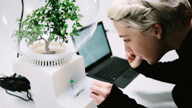 ieklerinizle konumaya baladysanz...