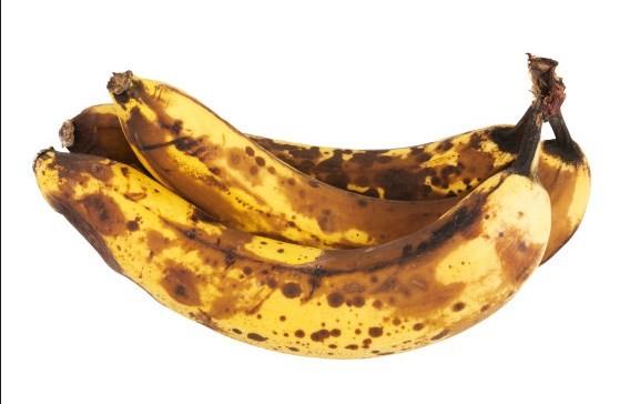 9. Vcut scakln kontrol eder<br>  Dars ok scak ise eer, muzun vcudunun scakln dzeltmesini unutmayn. Vcudun ate nedeniyle scaklam ise muzun bu scakl drebildii de dorudur.