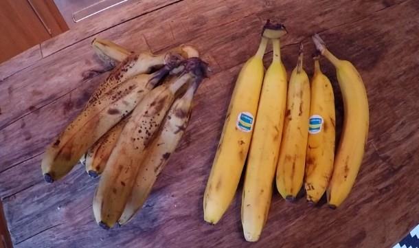 6. Depresyona kar yardmc olur<br>  Muzun depresyona kar iyi gelmesinin sebebi yksek dzeyde triptofan iermesi ve bunun vcutta serotine dnmesi ile aklanr. Serotin ise insan daha mutlu ve daha dengeli hale getirir ve genelde moralini daha yksek tutar.  Muz yeterli miktarda safra maddesi ierir ve bu nedenle barsak hareketliliini srekli kalmasn destekler. Bylece doal bir ekilde kabzla kar korur.