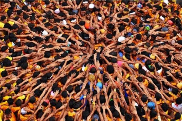 te dl kazanan dier fotoraflar...