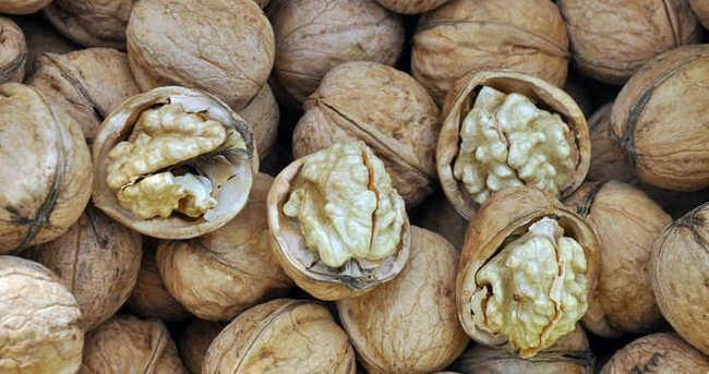 9) Cevizin, kalp-damar hastalklarnda iki nemli risk faktr olan dk younluklu lipoprotein kolesteroln (yaklak %9-16) ve kan basncn (diyastolik kan basncn yaklak 2-3 mm hg) azaltt ortaya koyulmutur.