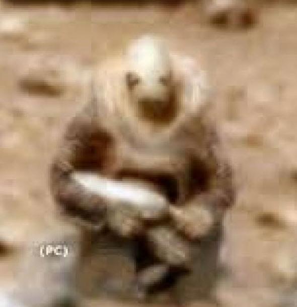 Elbette NASA'nn bu konuda bir yorumu yok; ancak grnty izleyen UFO merakllar sosyal medyada 'uzayl sava' yorumlarn srarla yapmakta geri durmuyor.