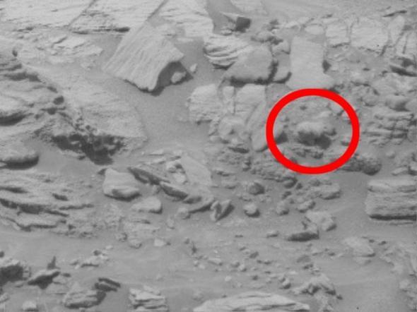 NASA'nn Mars'tan Dnya'ya getii bir baka grntde ise objektife yakalanan objenin ayy andrd iddia edilmiti.