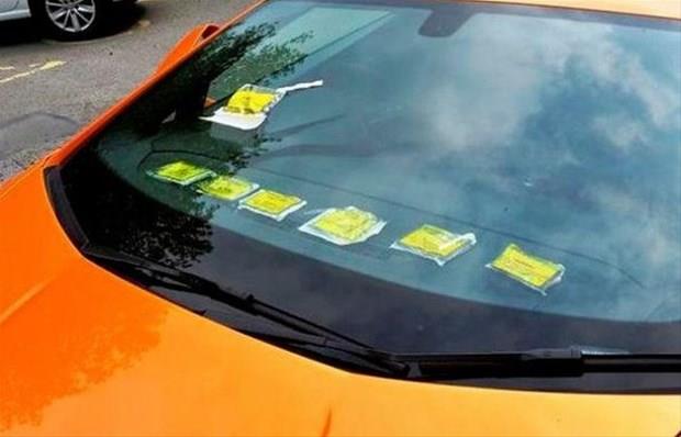 Benzer olay daha nce de tekrarlayan Ash White adndaki gencin daha imdiden yarm dzine park cezas birikmi durumda.