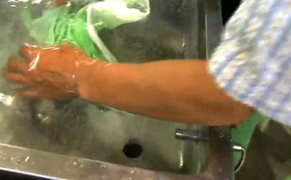 Fotorafta retilen marul, Japonya'da yaplyor.