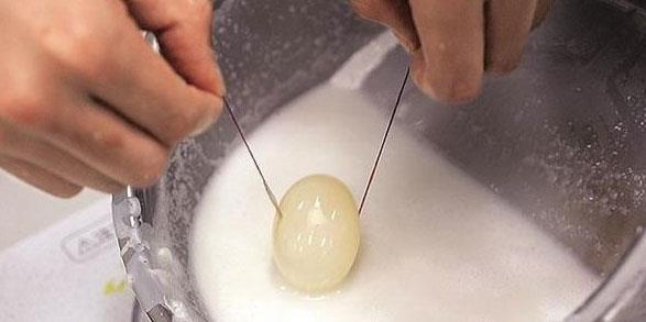 lk olarak in'de yaplan sahte yumurtann retimi, dier lkelere sramaya balam.En son Malezya'da retim merkezleri bulunmu.