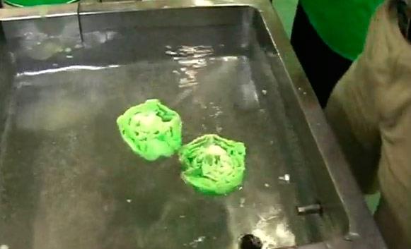 Ortaya kan "marul" izleyenlere kk dilini yutturuyor.