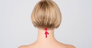 Solunum sisteminizi dzenler, daha rahat nefes almanz salar Nrolojik rahatszlklar ve omurga tedavisi iin yarar salar