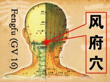 Hormonun ilevi, arnn iddetini azaltmak ve vcuda daha az rahatszlk vermesini salamak iin sinirleri uyuturmaktr. Endorfinlerin ar kesici etkisi morfinden yaklak 30 kat daha fazladr.