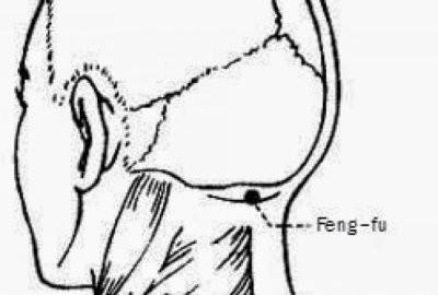 Mutluluk hormonu olarak da anlr. Heyecan, ar, egzersiz, baharatl yiyecek tketimi...