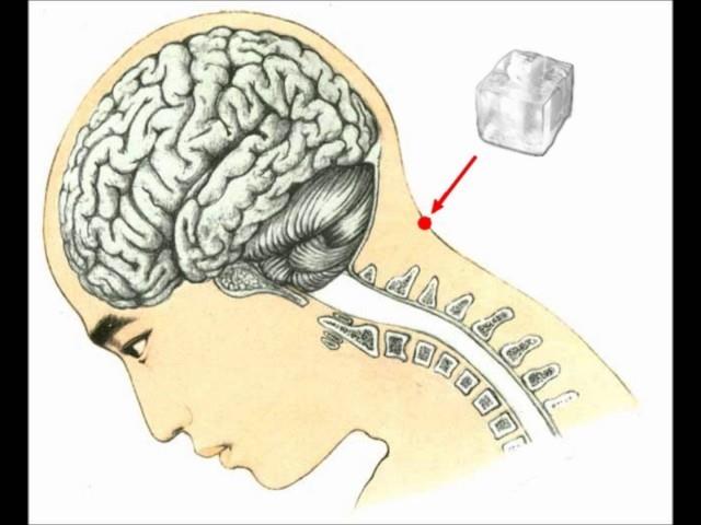 inliler bu akupunktur noktasna Feng Fu adn vermiler, anlam ise: Rzgar kona