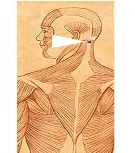 Uykusuzluk, stres, depresyon, psikolojik rahatszlklara kar yardmc olur