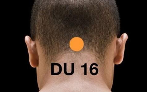 Her gn bir buz kpn vcudunuzdaki bir blgeye koyduunuzda sizi genletireceini ve enerji ile dolduracanz biliyor musunuz? Bu uygulamaya Feng Fu, denir. Feng Fu yntemi de sklkla kullanlan akapunktur yntemlerinden bir tanesidir. Rzgar evi anlamna gelen Feng Fu ynteminde, ba ve boyun arasnda kalan blgeye buz koyma teknii ile pek ok salk problemini ortadan kaldrmak mmkn... Feng Fu'nun neredeyse her eye faydas var.