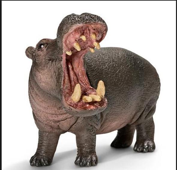 Tek bir sryla koca koca memelileri annda ldrebilecek kadar gl bir ene yaps ve dev gibi dilere de sahip olduundan,genelde saldrlarndan canl kurtulmak mmkn olmuyor. Su aygrlar, insanlarn kendilerine fazla yaklamasndan holanmyor.Zaten ksa srede 'sinirlenebiliyor' olmasyla nl olan bu tr,byle bir durumda hi vakit kaybetmeden saldrya hazr hale geiyor. Biraz daha yaklamak,o kocaman dilerin tadna bakmaya raz olmak demek.