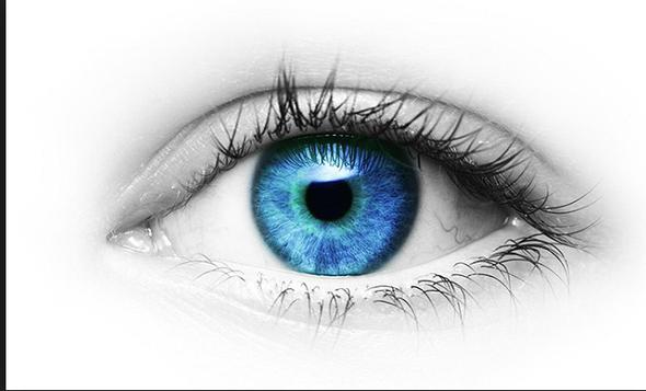 Dolaysyla dnyay siyah-beyaz gryorlar. Gececil hayvanlarn byk ounluu sadece gece aktif olduklarndan renkleri ayrt edebilme becerisine ihtiya duymazlar. Bunlarn da gzlerinde bir ya da iki tip koni hcresi mevcut. iki tip koni hcresi olanlar ift renkli gre sahip.