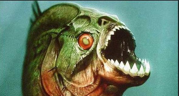 stelik canl insanlara asla saldrmyorlar. Piranalar sadece lm veya lmek zere olan insanlar yem olarak grrler. rnein,lmcl bir yaraya sahip olan biri onlar iin av kategorisine giriyor. Etobur piranalarn diyetinde insanlarn yan sra bir de kapibara adl kemirgen yer var. Ama zorunda kalmadka ona da saldrmyorlar.