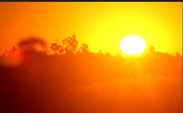 Sivrisinekler gndz saatlerinde nereye kayboluyor?